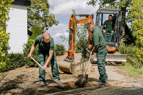 Hervorragende Zukunftsaussichten: GaLaBau in Nordrhein-Westfalen